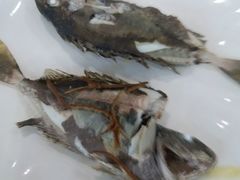 -海大大蒸汽海鲜餐厅·粤菜·特色小炒(欢乐颂店)
