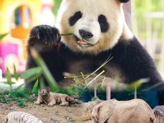 -杭州野生动物世界