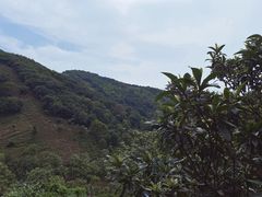 -东山风景区(洞庭东山)