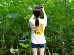 -莲湖公园