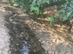 -燕塞湖鸟语林景区