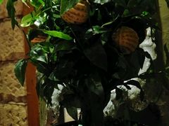 -云来居素食馆(南山店)