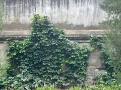 -月坛公园