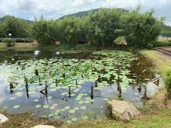 -北京师范大学(珠海校区)
