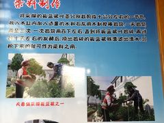 -璞真扎染博物馆