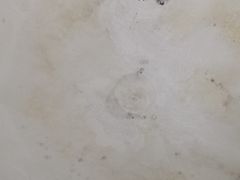 -艾溪湖湿地公园