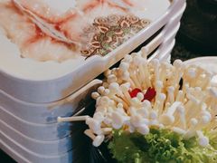 -老牌坊云南鱼豆花火锅(哈西万达店)