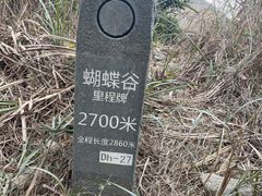 -梧桐山风景名胜区