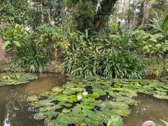 -中国科学院西双版纳热带植物园