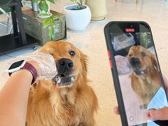 -omitofee咖啡(水泽店)