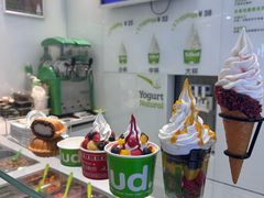 -Salud撒露欧洲冻酸奶(蓝色港湾店)