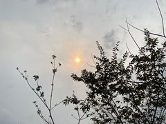 -阳台山森林公园