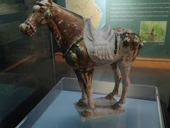 -衢州市博物馆
