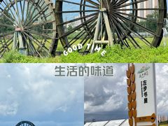 -左步村