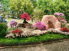 -上海醉白池公园