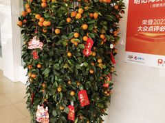 -明记海鲜大排档(巽寮湾店)