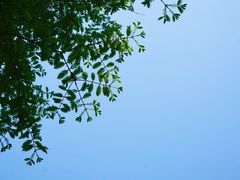 -宜兴龙背山森林公园
