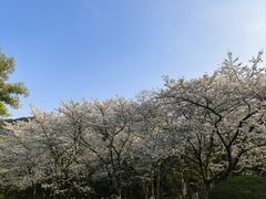 -中国茶叶博物馆(双峰馆区)