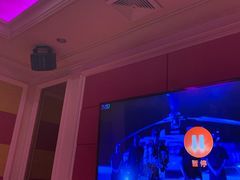 -金青果甄选KTV(劳动公园店)