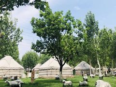 -九十九顶毡房(阜石路店)