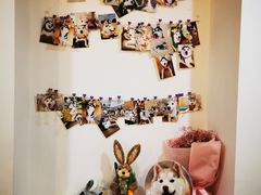 -Husky Go! 哈士奇体验馆·宠物咖啡厅狗咖