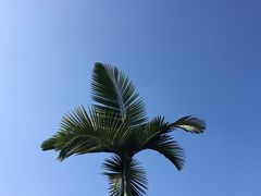 -张坝桂圆林公园