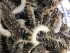 -老爆肚满五香烧牛羊肉