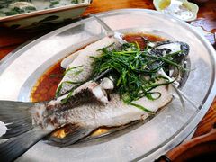 清蒸山坑鱼-华信美食