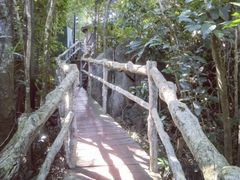-三亚亚龙湾人间天堂鸟巢度假村
