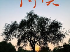 -北京奥林匹克公园