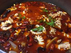 -重庆乌鱼庄·龙滋鲜(青羊大道店)