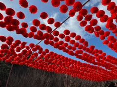 -石岛赤山风景区