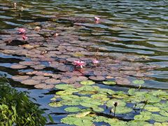 -荔湾湖公园