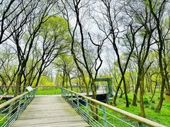-西湖风景区-江洋畈生态公园