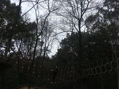 -石燕湖生态旅游景区