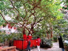 -寿山福海养老服务中心(石景山院)