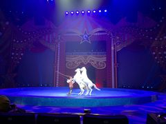 -珠海横琴长隆《卡卡虎奇遇记》