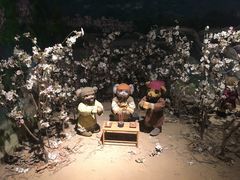 -成都泰迪熊博物馆