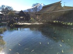 -富士山吉田線五合目