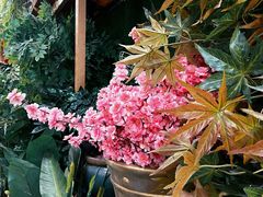 -双季花艺园艺市场(浦东店)