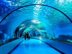 -泉城欧乐堡海洋极地世界