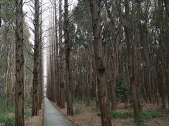 -同里国家湿地公园
