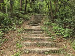 -东白山