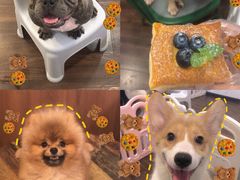 -柯斗斗主题餐厅·狗咖·围炉煮茶·茶饮(国瑞升平里店)