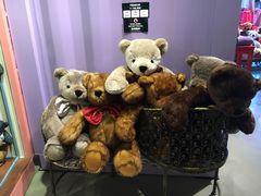 -济州岛泰迪熊博物馆