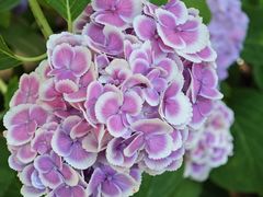 -常州古运河南大街文化旅游区-人民公园