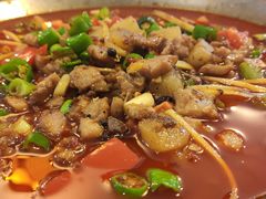-糊涂兔毛毛菜(八里庄店)