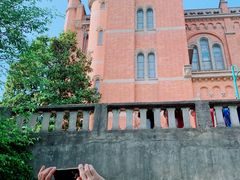 -上海佘山国家森林公园西佘山园