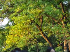 -柳莺湖上·湖景餐厅·江南菜(西湖店)