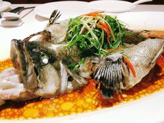 -维园悦谱·海派家常菜(乌鲁木齐南路店)